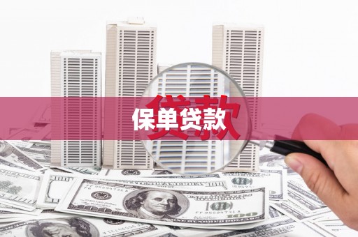 武汉保单贷款